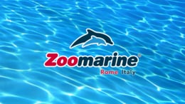 Zoomarine institutional
